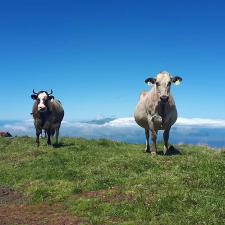 Holiday home Casa Santa Ribeira Grande