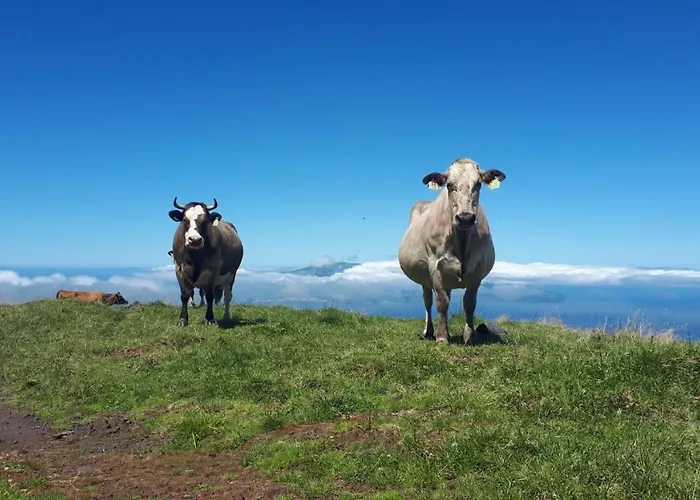 בית נופש Casa Santa ריביירה גראנדה
